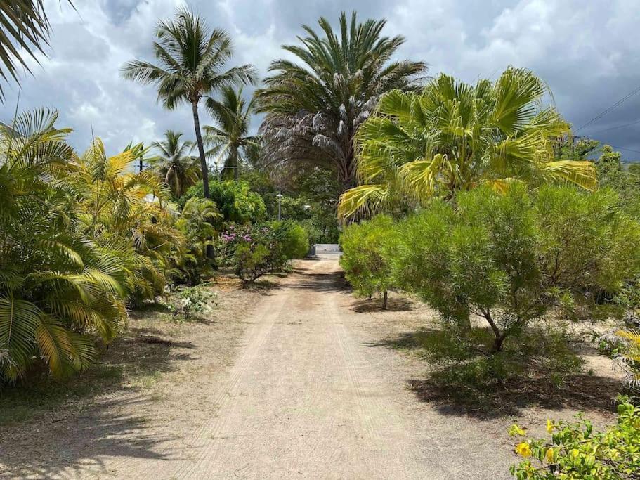 Villa Coco Des Sables Acces Direct Au Lagon 라 살린 레 뱅 외부 사진